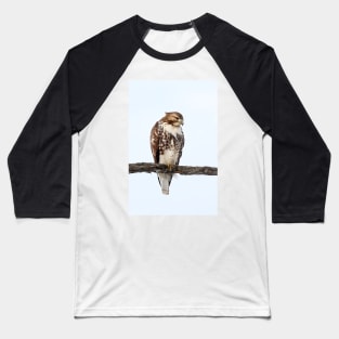 Red-tailed Hawk - Perched Baseball T-Shirt